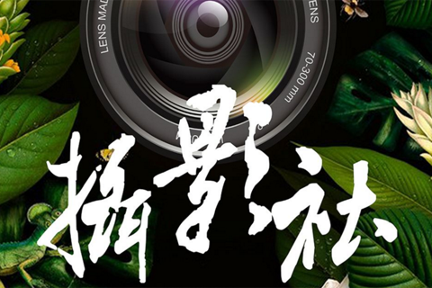 力邁中美國(guó)際學(xué)校攝影
